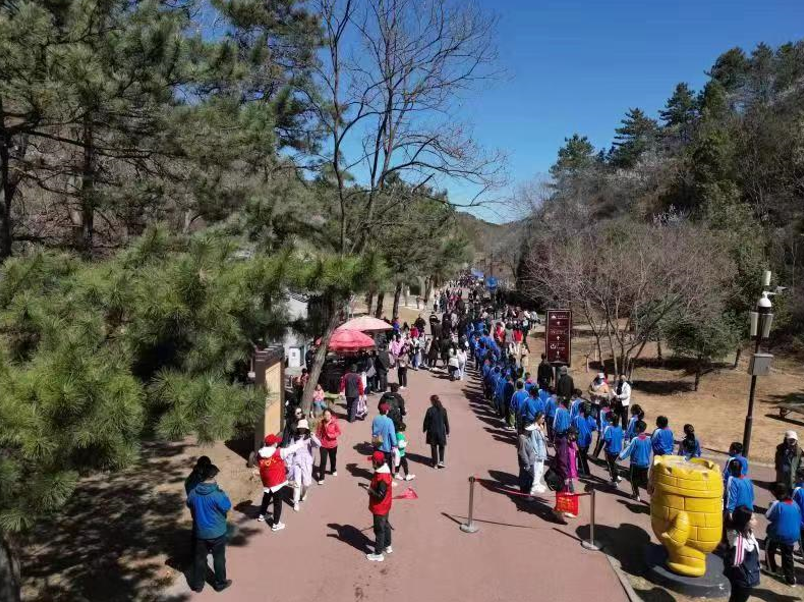 河北滦平：金山岭长城第十一届杏花节启帷 首日迎来中外游客逾1.5万人次