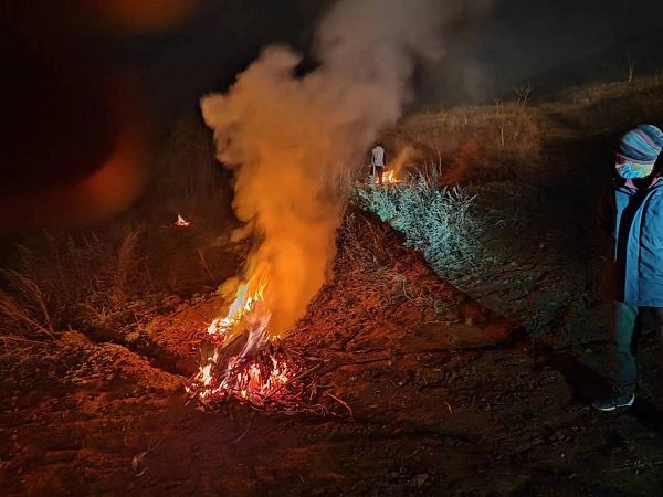 降温霜冻狂刷存在感 华亭紧急给农作物“添衣”凤凰网甘肃_凤凰网