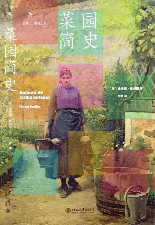 你是不是也有一个菜园梦啊