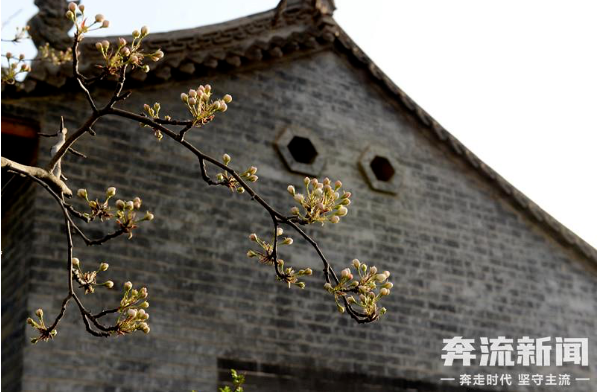 微信截图_20230411195828.png