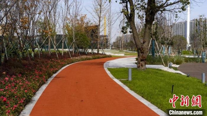 塑胶跑道 蒋尼克 摄