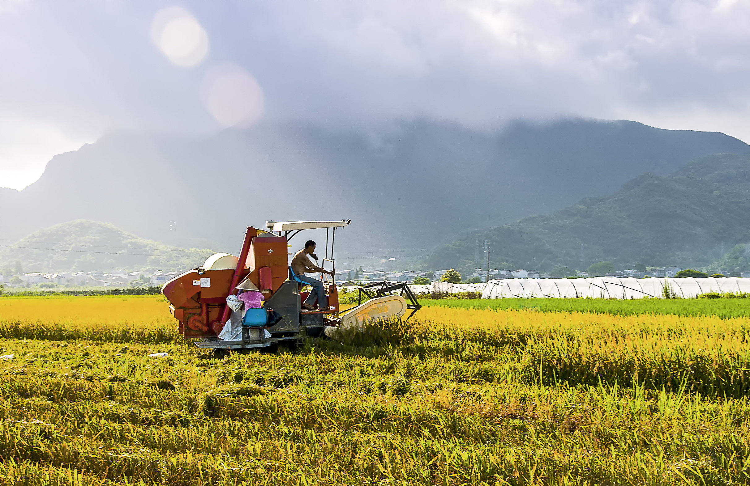 稳增长、调结构、提质量  象山赋能水稻全产业链机械化高水平发展