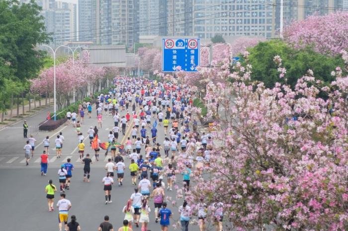 4月9日，2023柳州马拉松暨警察马拉松在广西柳州市鸣枪开跑。图为参赛者在“花海”中奔跑。　中新社记者 刘俊聪 摄