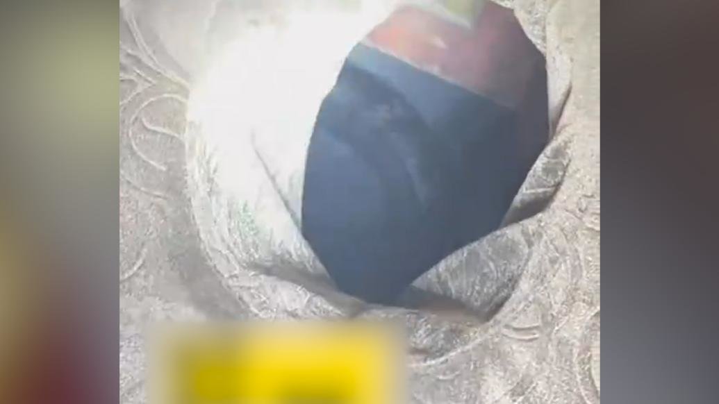 睡觉时发现床垫里藏着条眼镜王蛇，居民吓得赶紧报警求助