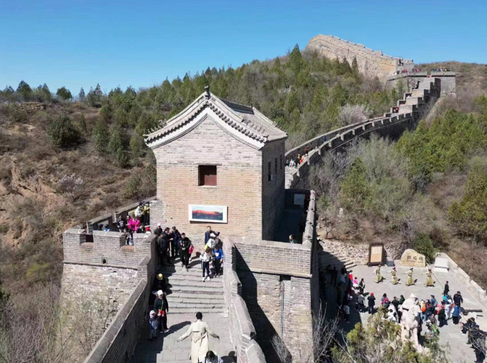 河北滦平：金山岭长城第十一届杏花节启帷 首日迎来中外游客逾1.5万人次