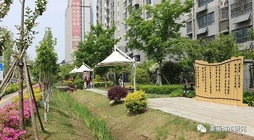 建设“会呼吸”的海绵城市，新沂的发力点在哪
