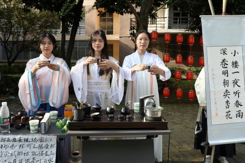 展示茶文化
