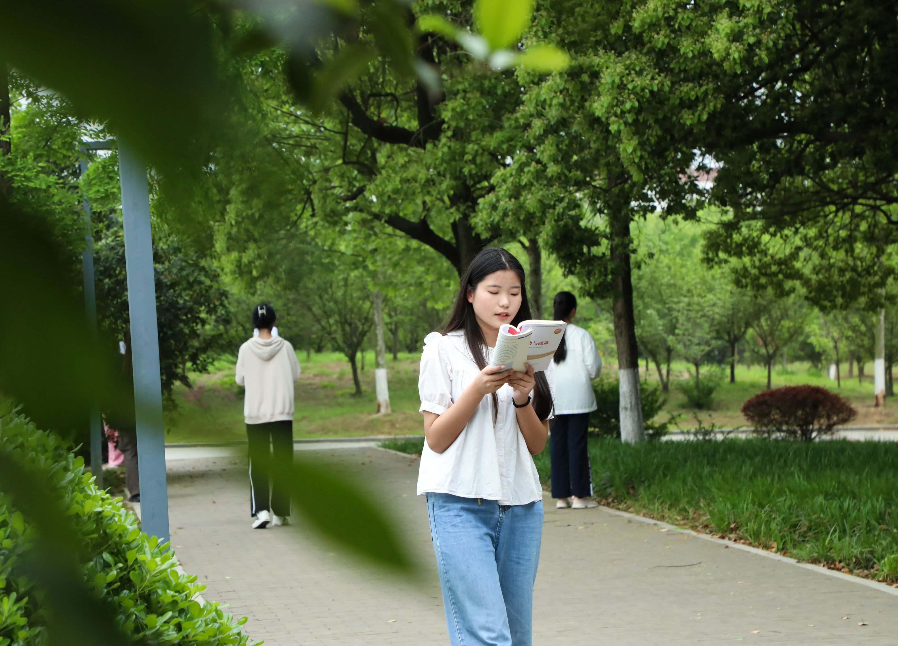 安徽肥西:大学校园书香浓凤凰网安徽