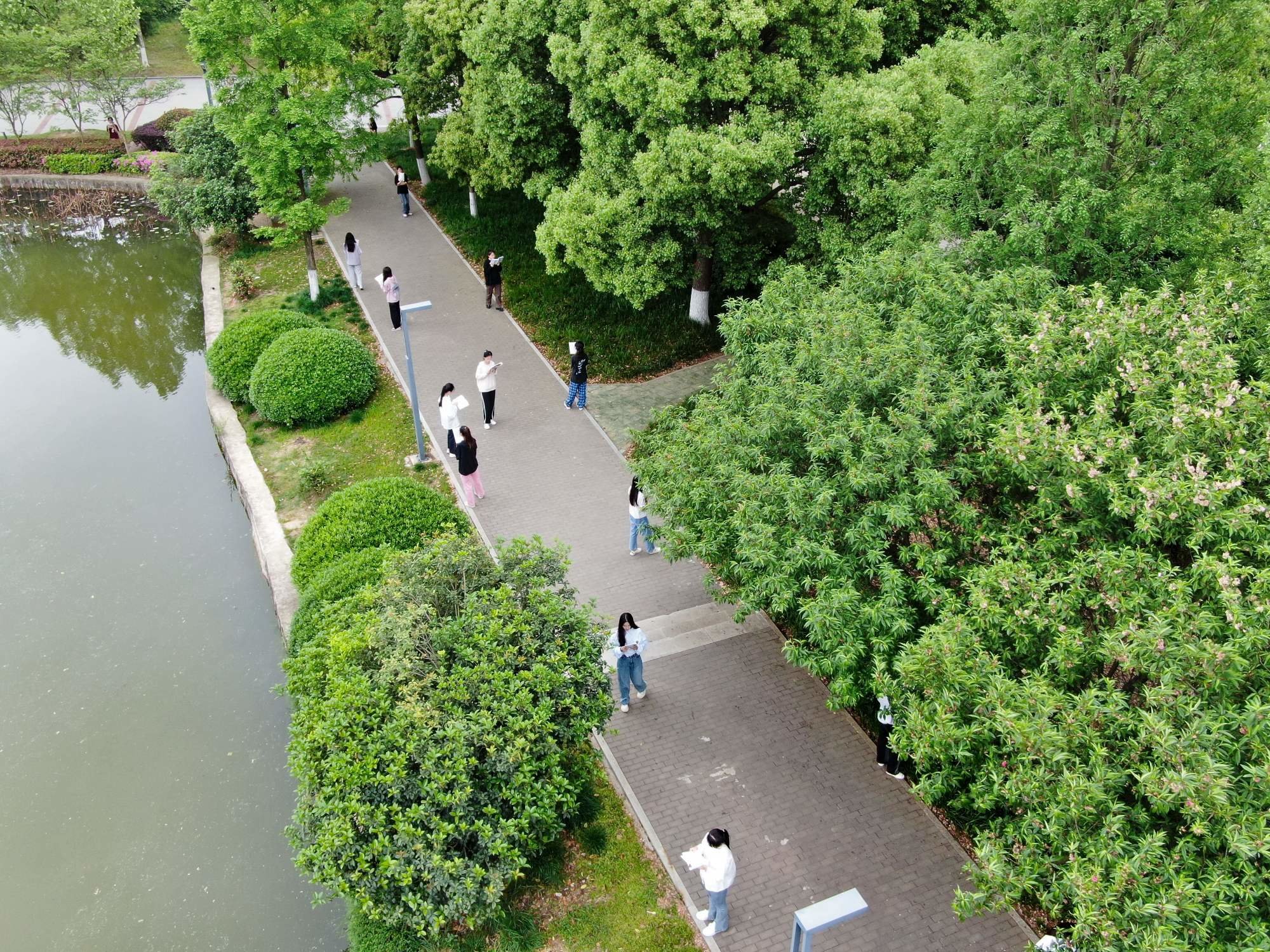 肥西县紫蓬山脚下的安徽文达信息工程学院校园紫云湖旁,学生正在晨读