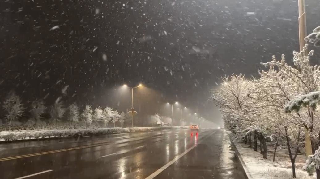 内蒙古鄂尔多斯降雪，市民：积雪将小区树枝压弯