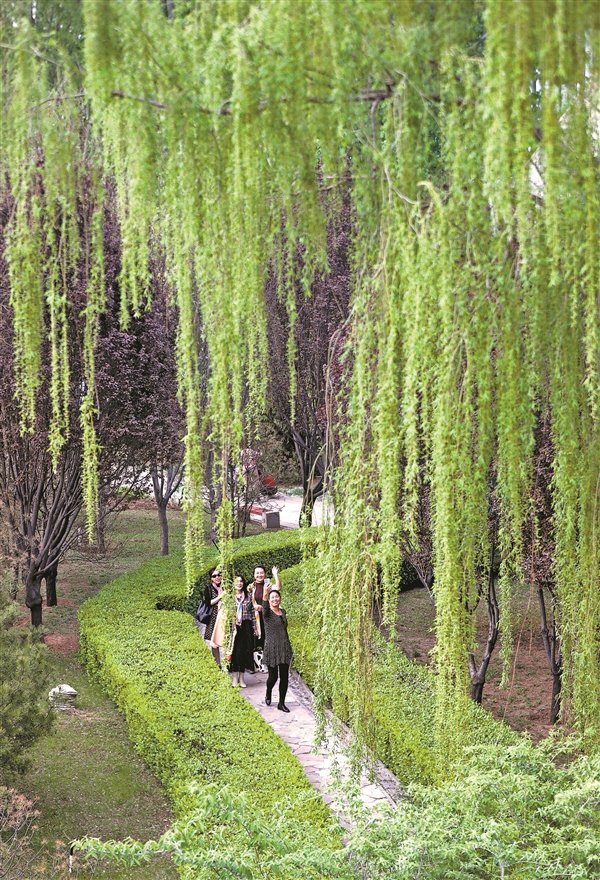 晋商公园春意盎然