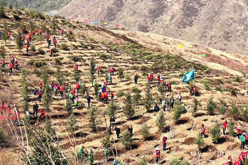 2023甘肃植树公益行活动现场（央广网发 蒋世栋 摄）