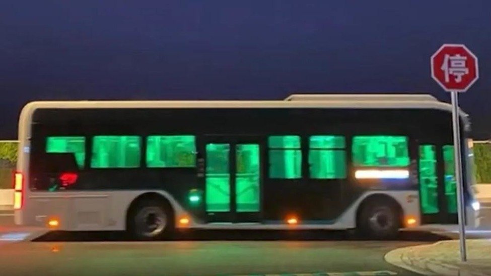 上海公交车深夜冒绿光？官方回应