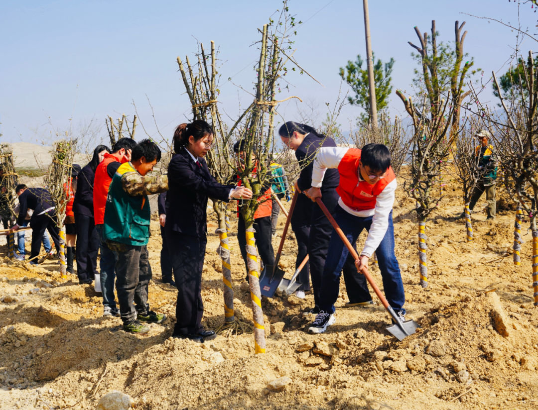 景泰县组织企业职工在各自绿化区域内开展春季植树造林活动
