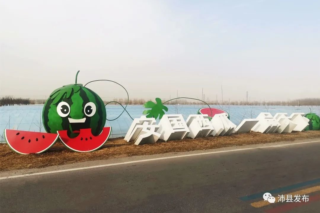 在沛县，实现“吃瓜自由”！