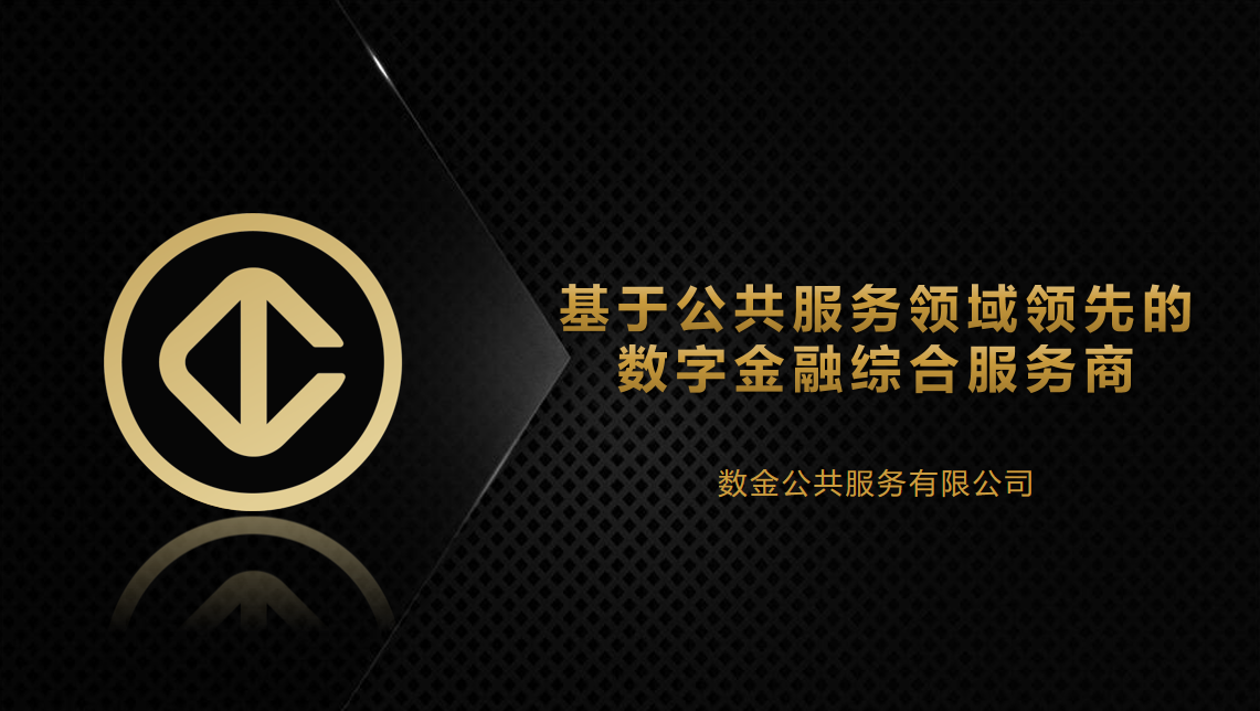 数金公共服务（青岛）有限公司