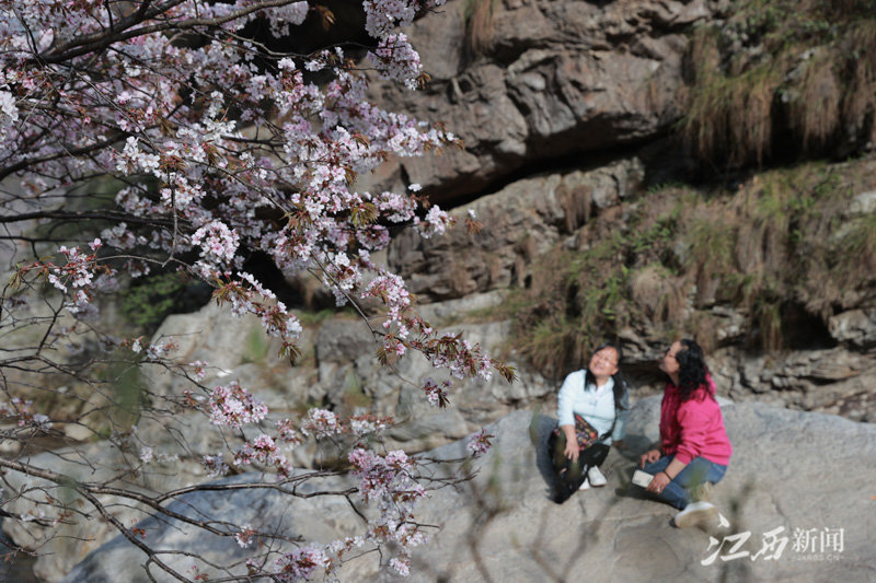 庐山天下悠（图）