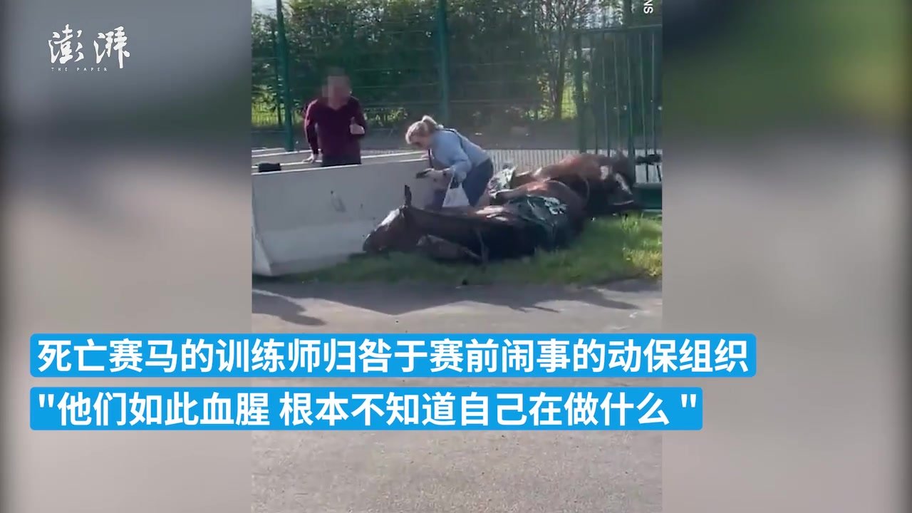 英国大奖赛赛马撞伤女观众，动保组织惹祸？