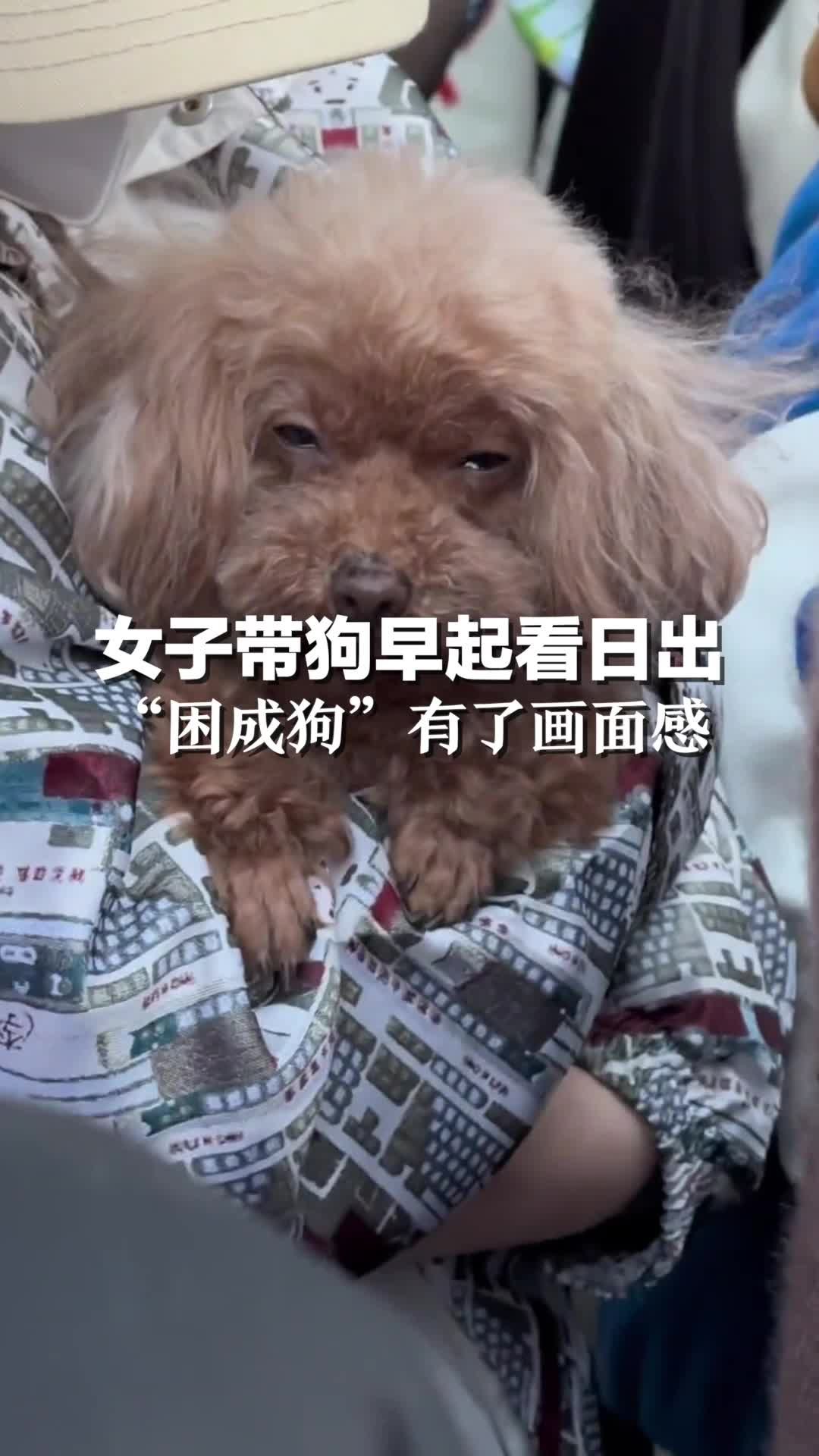 在森林里，女人和狗在篝火旁取暖照片摄影图片_ID:155803823-Veer图库