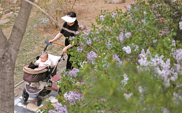 晋商公园春意盎然