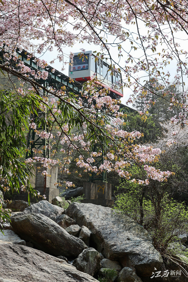 庐山天下悠（图）