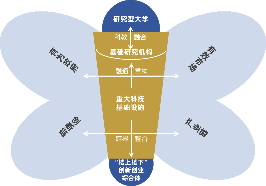 漂亮的蝴蝶图片样本图片