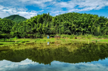 湾里管理局:守护生态之美 建设幸福湾里凤凰网江西_凤凰网
