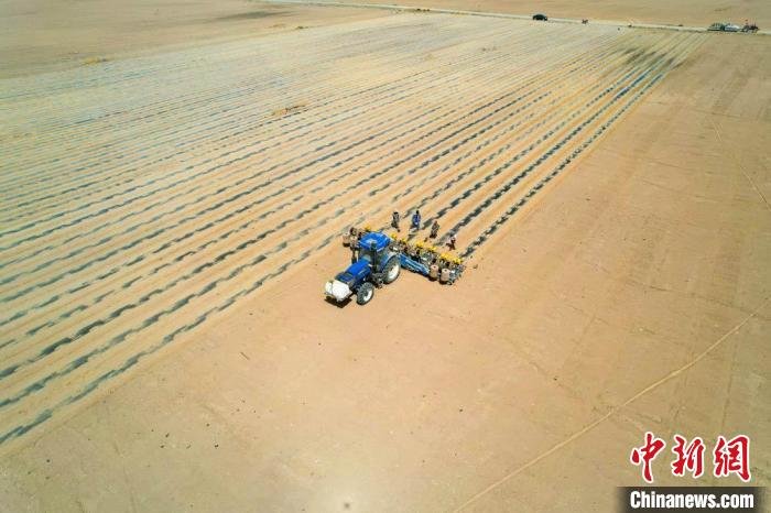 图为装有北斗卫星导航系统的拖拉机正在进行铺膜、施肥及滴灌带铺设作业。陈思宏 摄