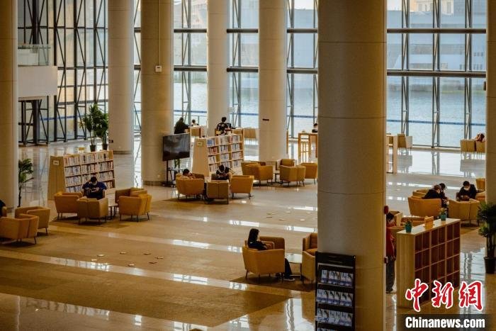 资料图:学生们在图书馆。上海海事大学供图