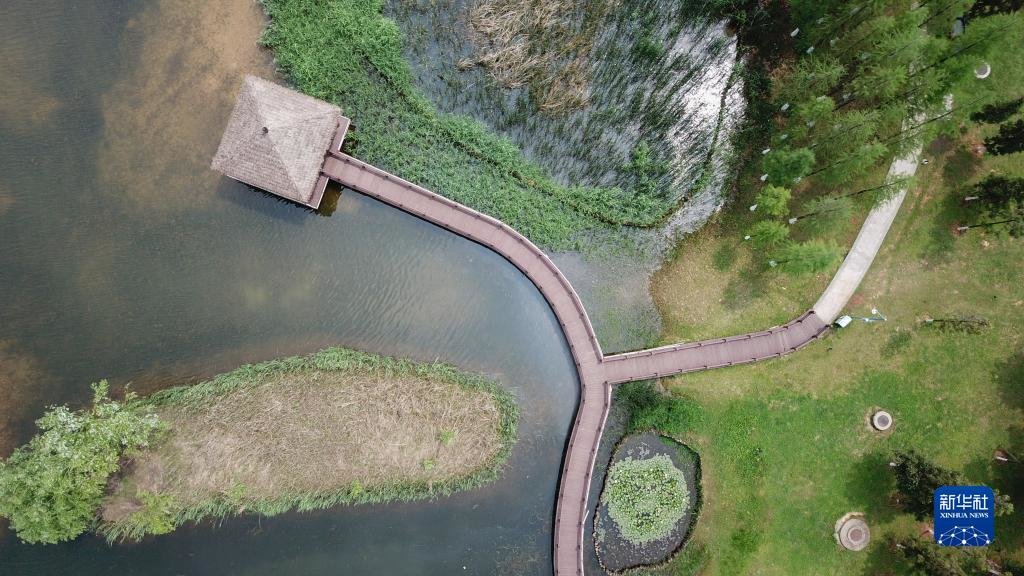 这是4月21日拍摄的湖南松雅湖国家湿地公园一角(无人机照片)。