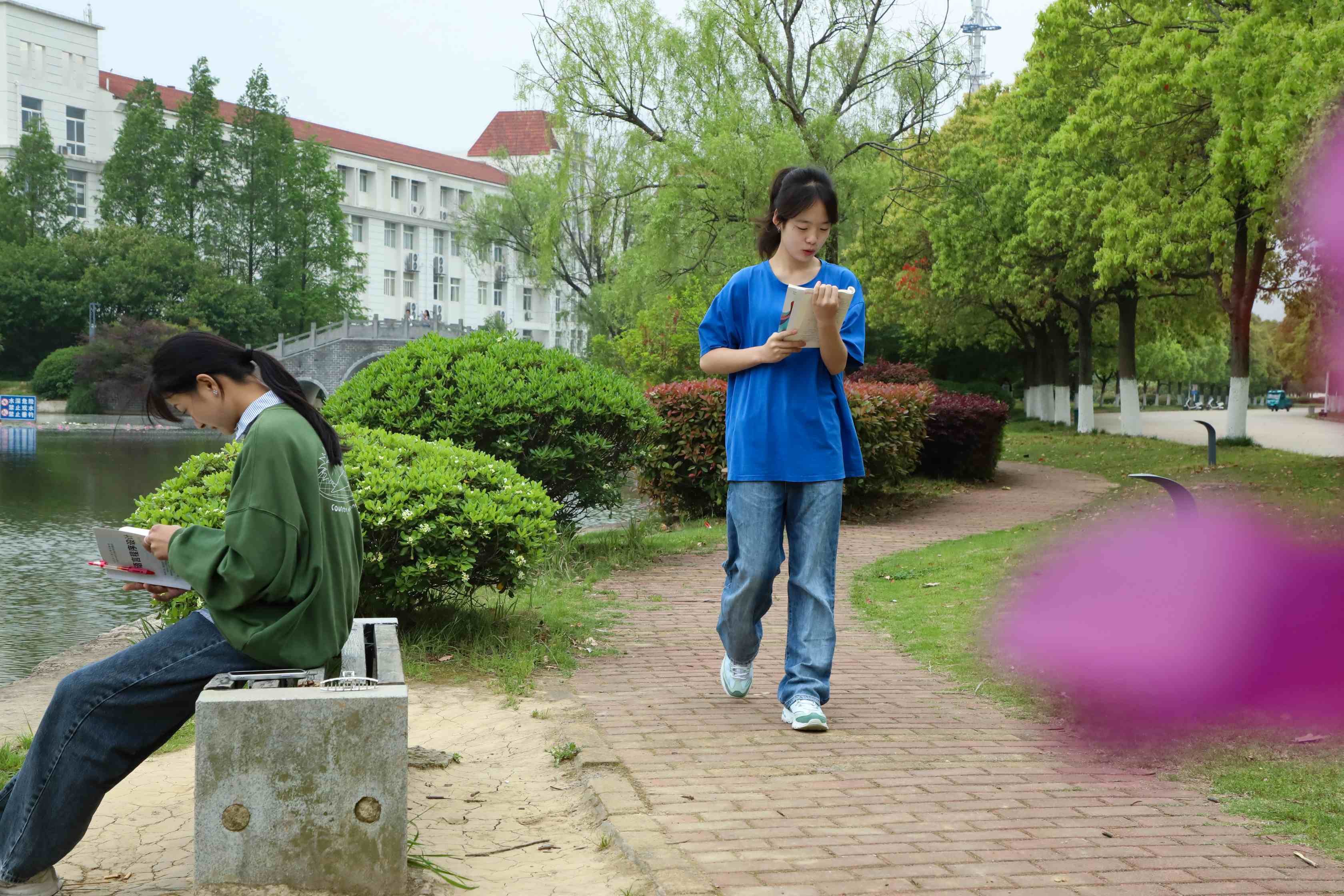 安徽肥西:大学校园书香浓凤凰网安徽