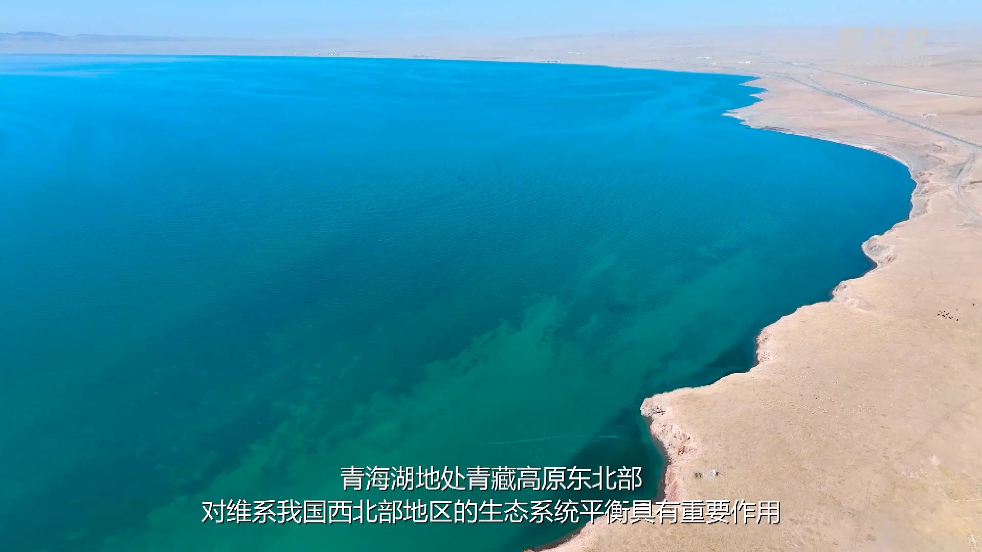 青海湖：风光壮美鸟翩跹