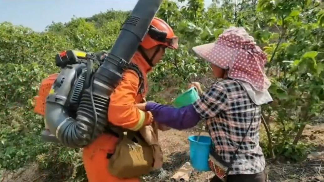 阿姨心疼灭山火消防员硬送樱桃给解渴