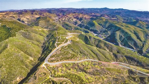 图为绿意盎然的乌金山国家森林公园。记者 张浩亮 摄