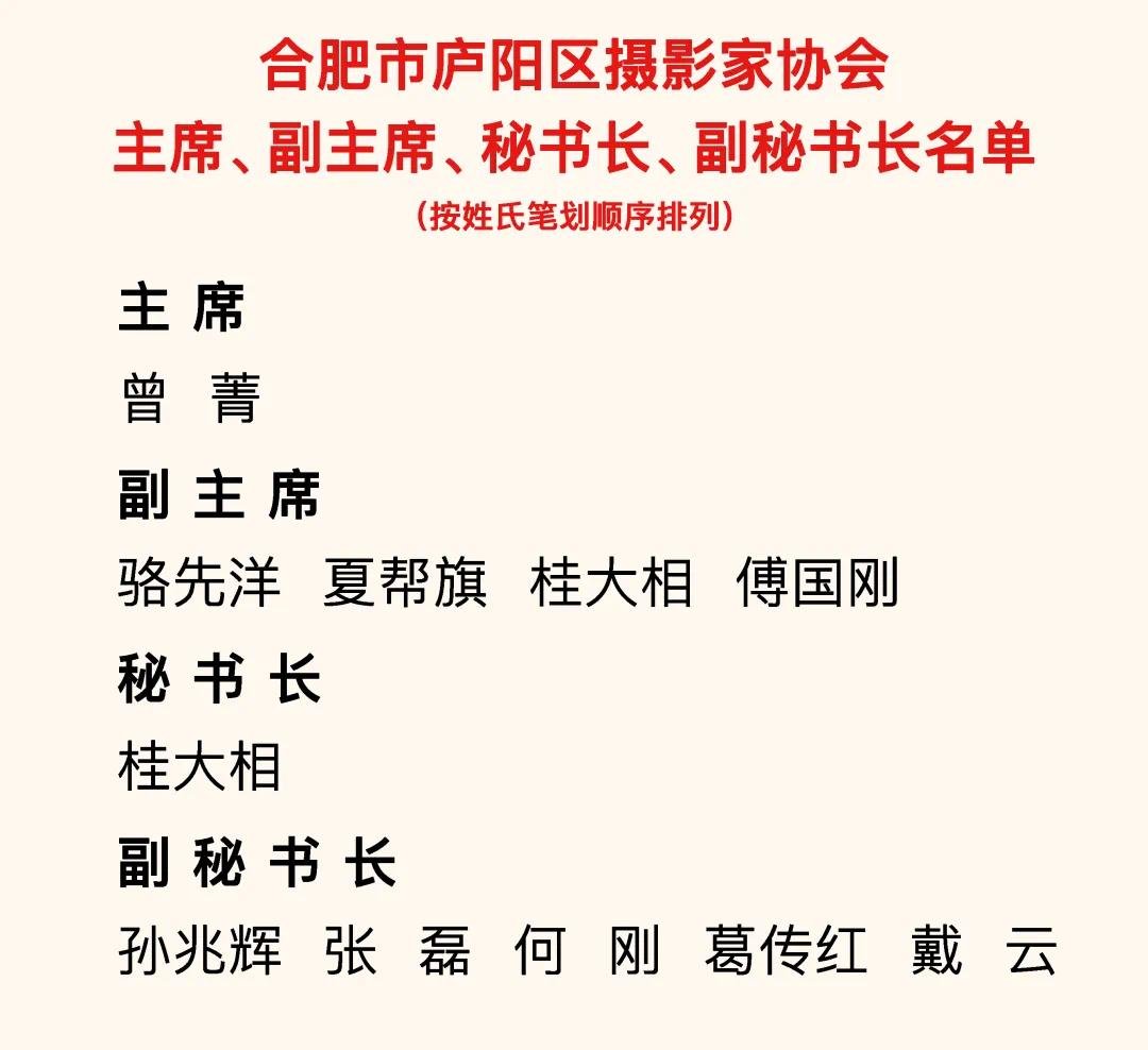 讴歌时代 讲好故事！合肥庐阳区摄影家协会成立！泛亚电竞(图9)