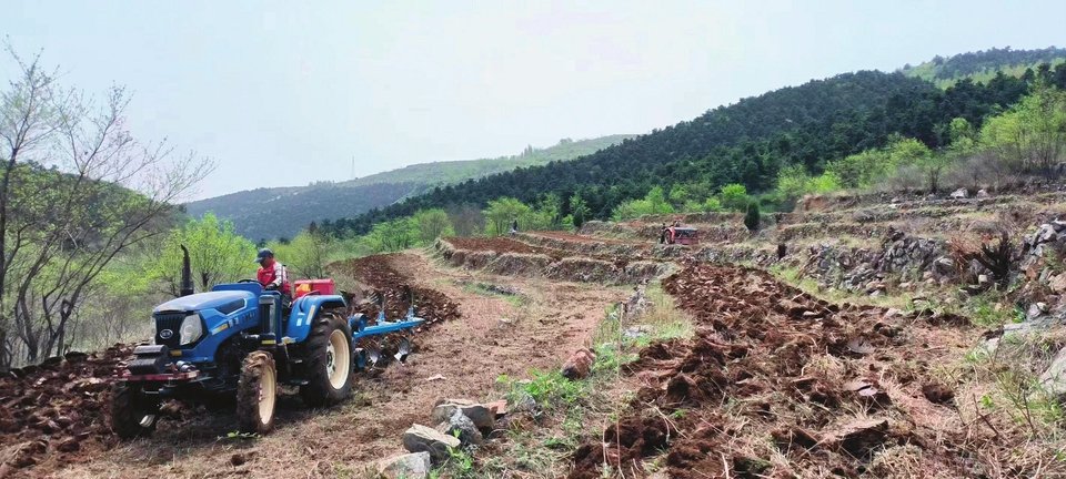 阳城县惠民生态农场“小杂粮”生产基地正进行土地深耕，为播种做准备。