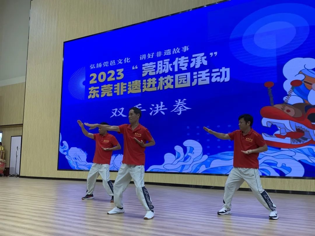 现场表演双手洪拳