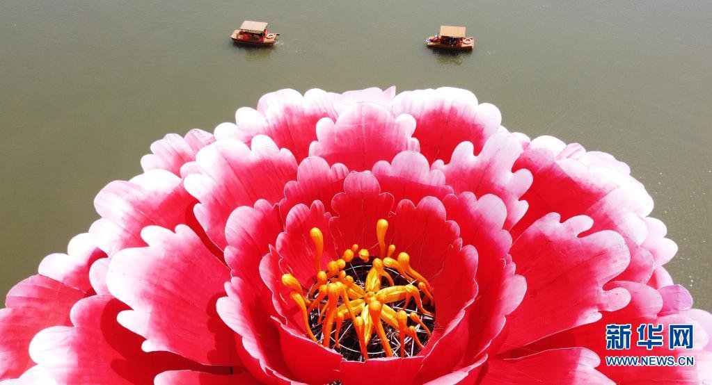 这是4月16日拍摄的洛阳市隋唐城遗址植物园巨型牡丹景观造型（无人机照片）。