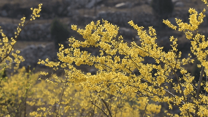 1681992146224_644129d23f35af0f8545e63a.gif