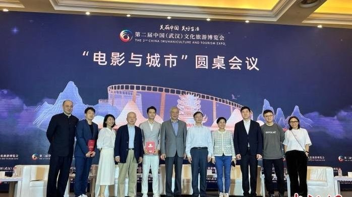 少什么电影