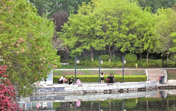 晋商公园春意盎然