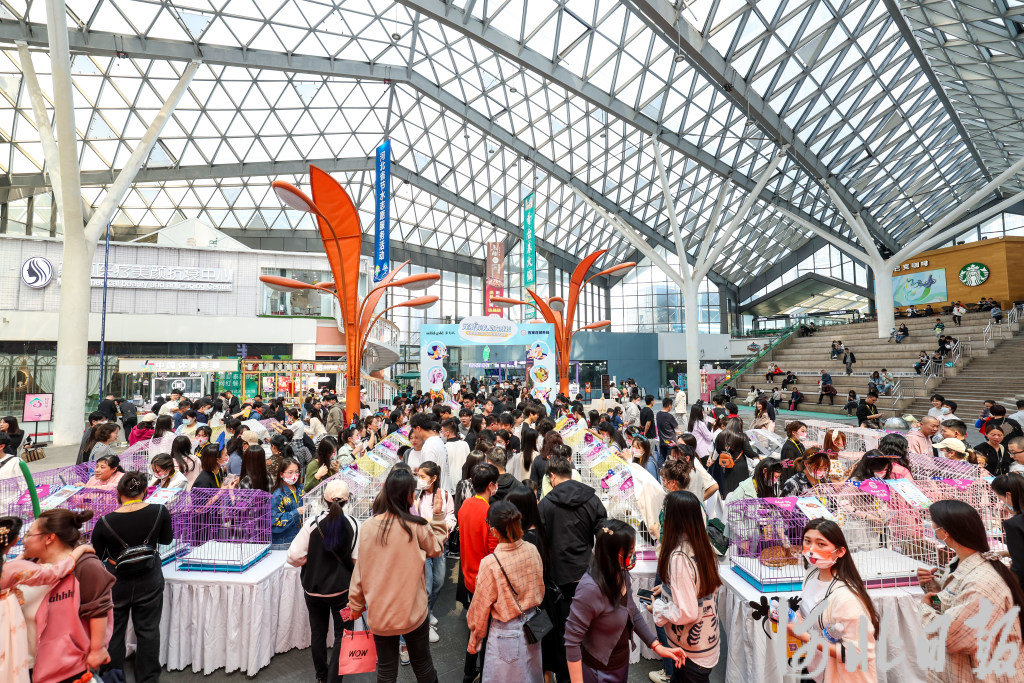 4月16日，勒泰中心五楼，第五十三届石家庄领养日活动现场。