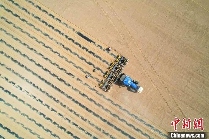 民乐县地处祁连山北麓、河西走廊中段,是全国优质牧草生产区域之一。陈思宏 摄