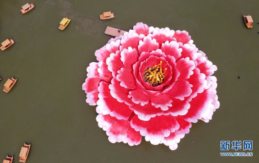 这是4月16日拍摄的洛阳市隋唐城遗址植物园巨型牡丹景观造型（无人机照片）。