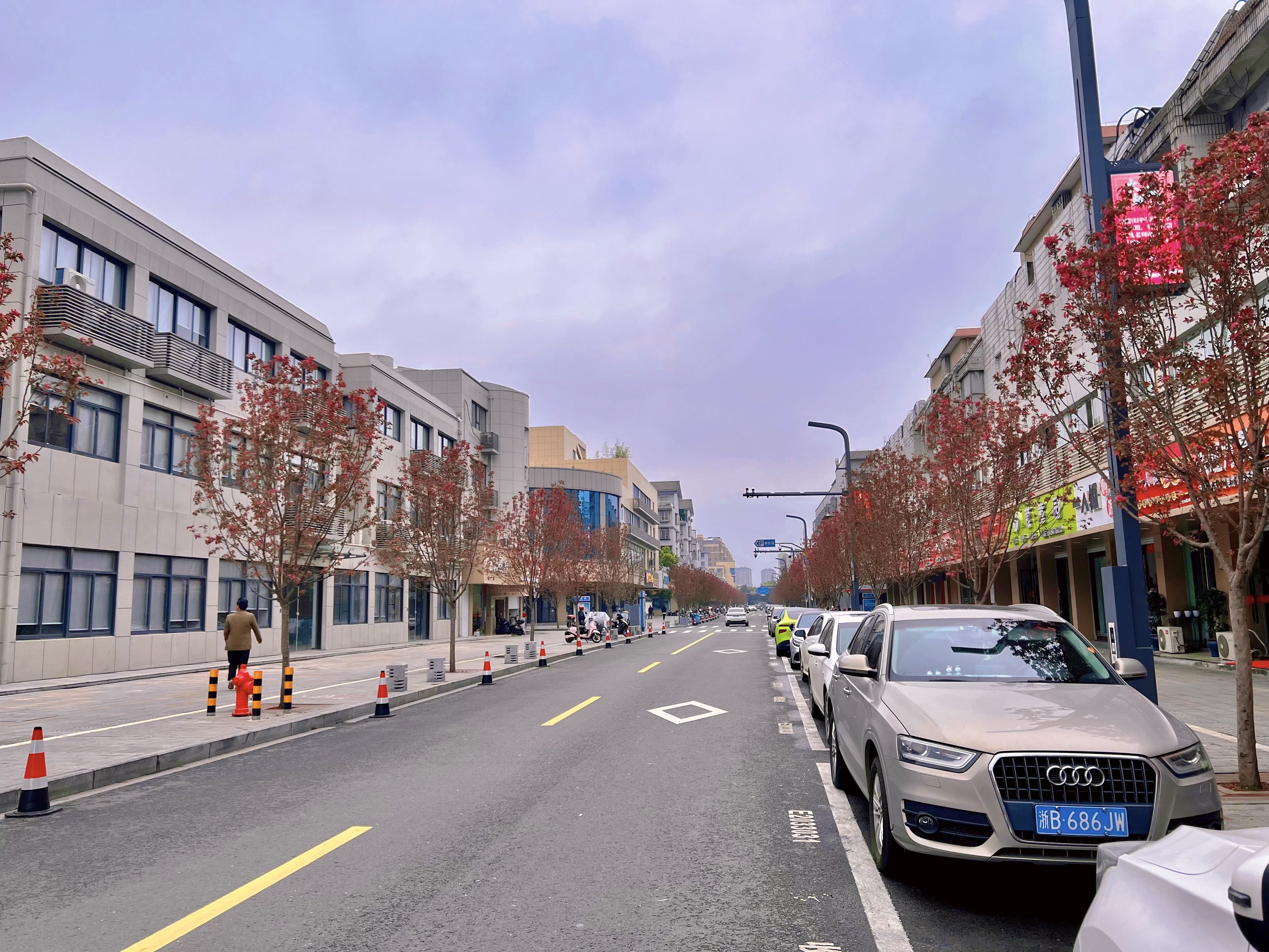 以城市“精细化”管理“绣”出北仑高质量发展画卷