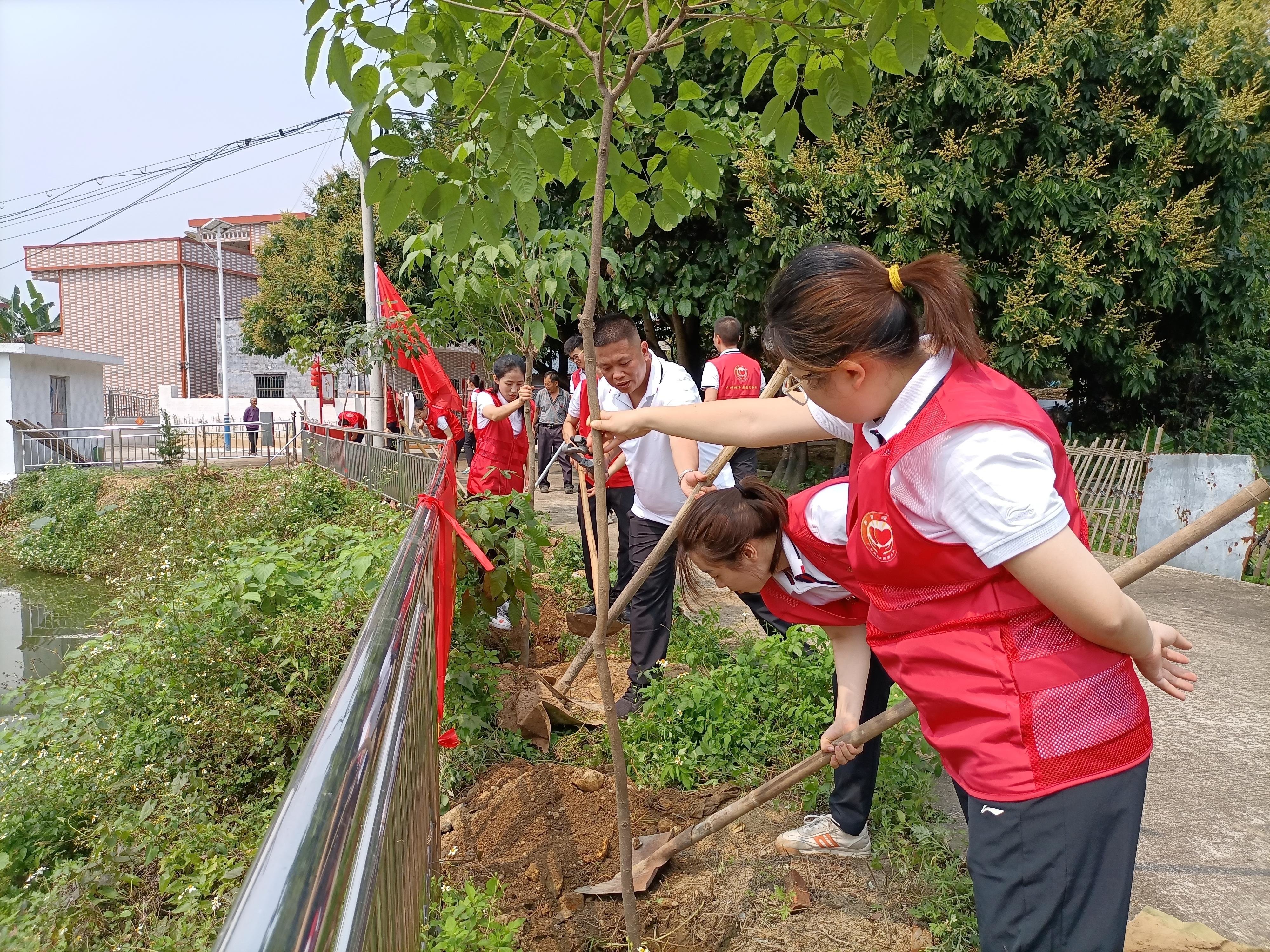 志愿队员以高度的热情、饱满的干劲圆满完成本次植树任务