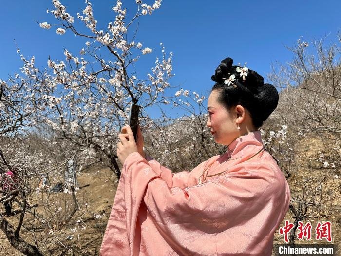 游客参加洮南杏花节活动。　张沫涵 摄