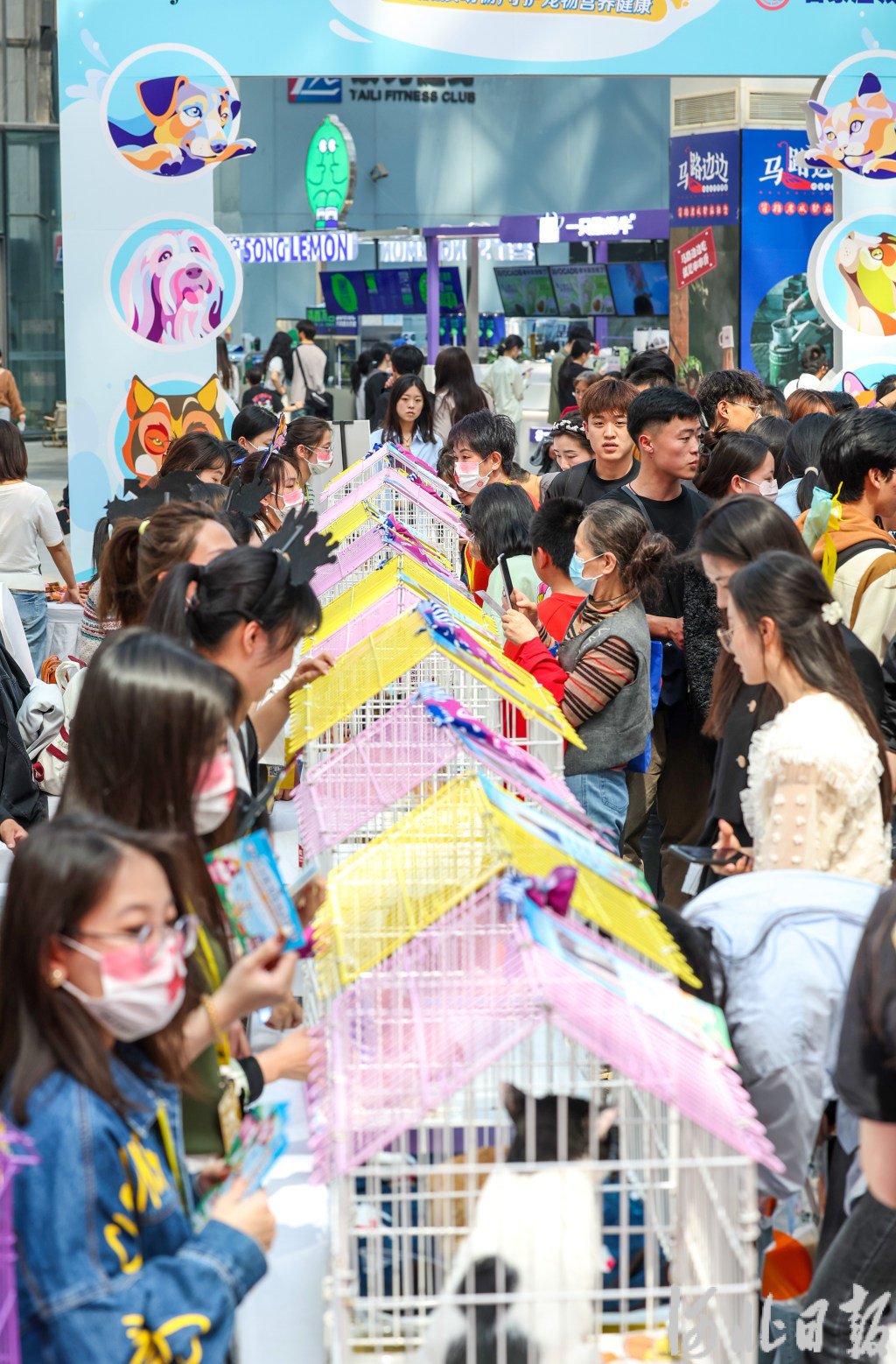 4月16日，勒泰中心五楼，第五十三届石家庄领养日活动现场。