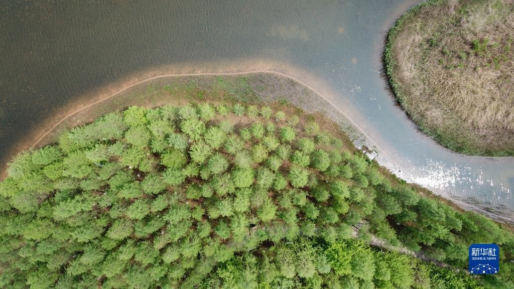 这是4月21日拍摄的湖南松雅湖国家湿地公园一角(无人机照片)。