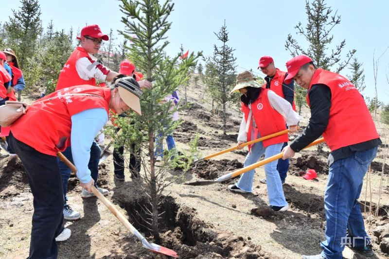 干部群众齐心协力植树添绿（央广网发 蒋世栋 摄）